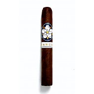 Dominican Republic Room 101 Farce Maduro Robusto